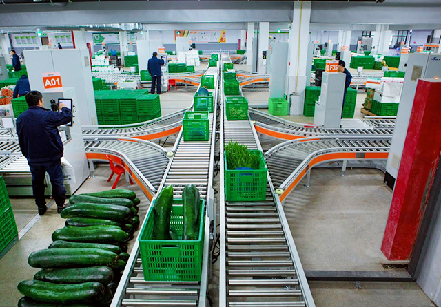 1737012442571382.png 6.png